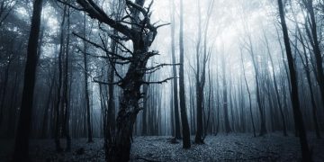 Lista | Sete Livros de Terror e Suspense para Desgraçar Sua Cabeça e Ter Pesadelos