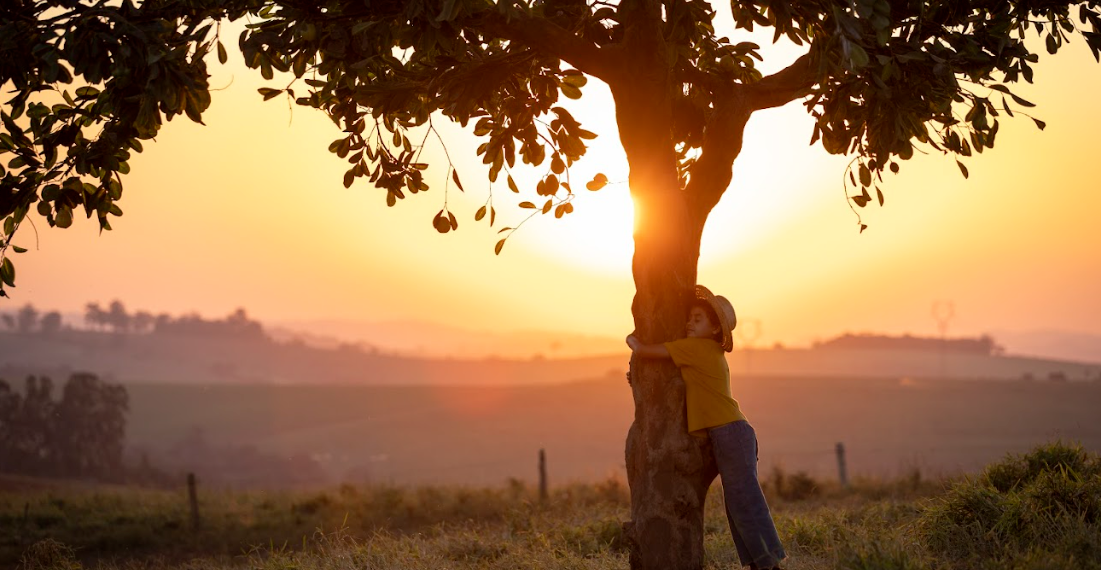 Chico Bento e a Goiabeira Maraviosa | Filme atinge 1 milhão de espectadores e ocupa TOP 10 de bilheteria em 2025