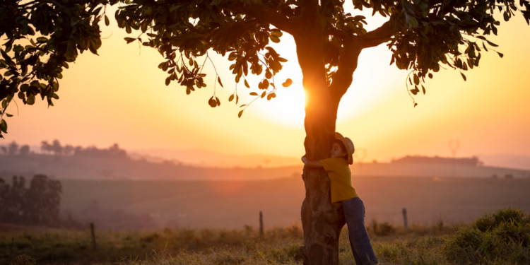 Chico Bento e a Goiabeira Maraviosa | Filme atinge 1 milhão de espectadores e ocupa TOP 10 de bilheteria em 2025