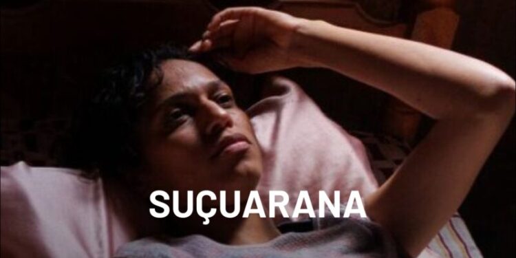 Crítica | Suçuarana